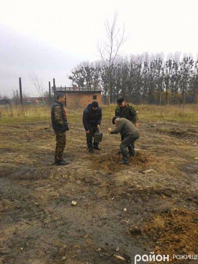 70 беріз і «трохи кущів»: як озеленювали Рожище