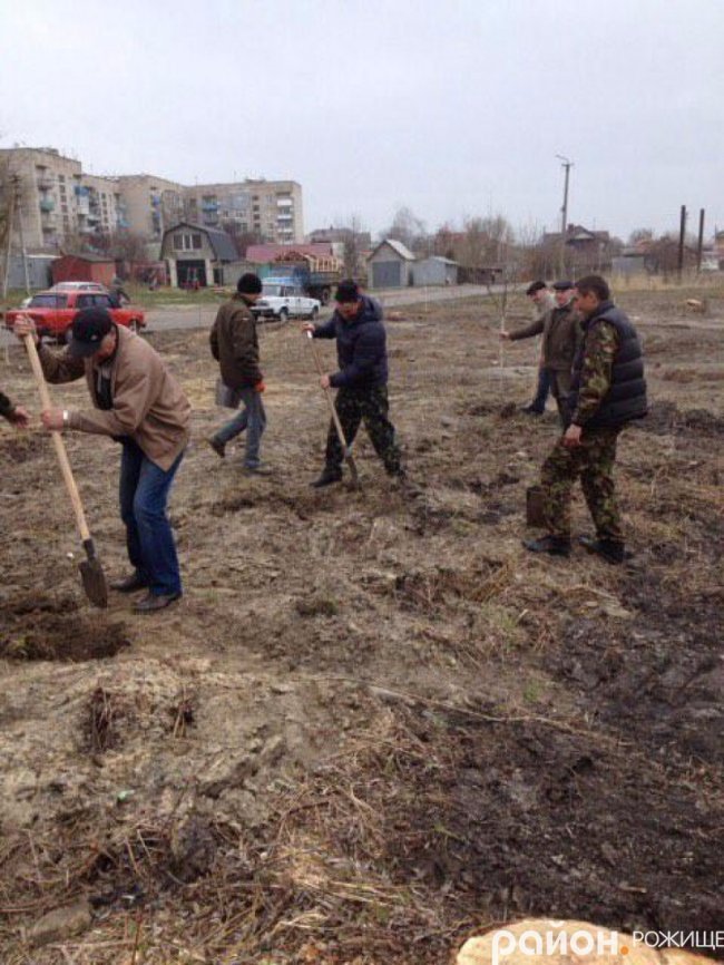 70 беріз і «трохи кущів»: як озеленювали Рожище