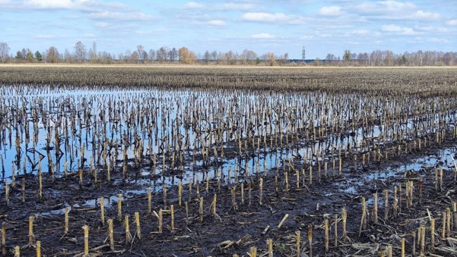 На реконструкцію меліоративних каналів у районі на Волині треба 800 млн грн: чи проводили розчищення 