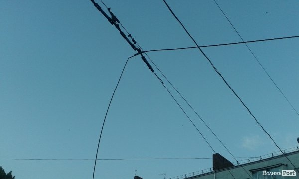 На Львівській стихія звалила дерево на дорогу. ФОТО. ВІДЕО