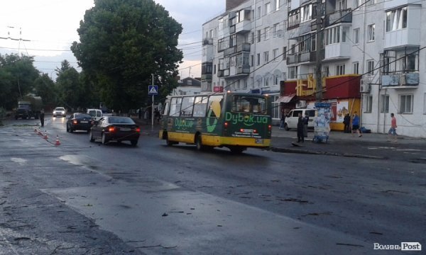 На Львівській стихія звалила дерево на дорогу. ФОТО. ВІДЕО