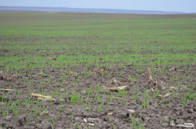 Ці підприємства вдихнули в мене оптимізм, – Савченко до волинських аграріїв