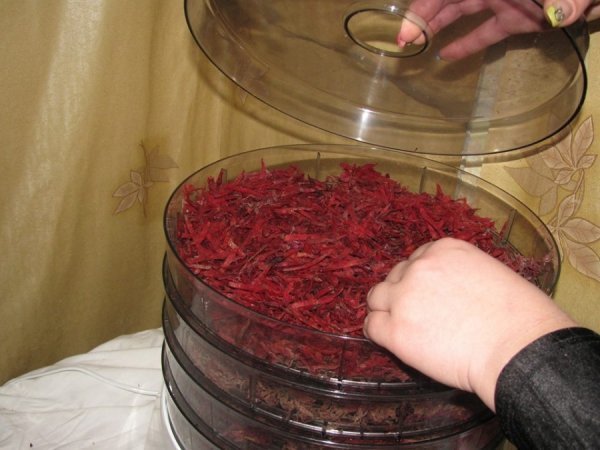 У Ковелі приготували «сухий» борщ для бійців АТО. ФОТО