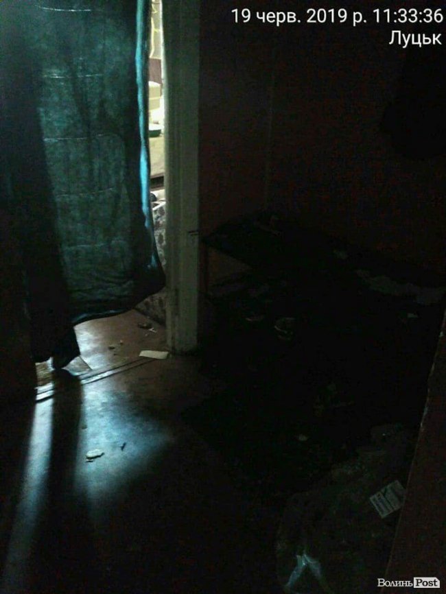 Нестерпний сморід: лучанин перетворив квартиру на розплідник тарганів. ФОТО