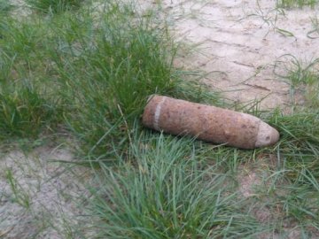 У лісі поблизу Ківерців жінка знайшла мінометну міну