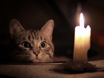 Де у Луцьку не буде світла 12 листопада