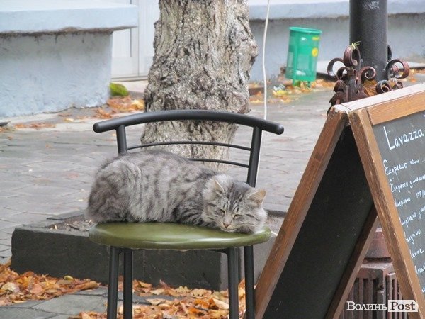 У Луцьку бійців пригощають «підвішеною кавою». ФОТО