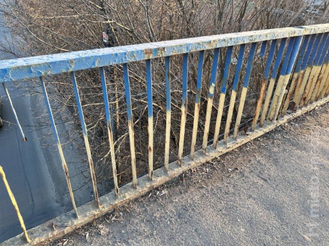 Фото: Юлія Малєєва