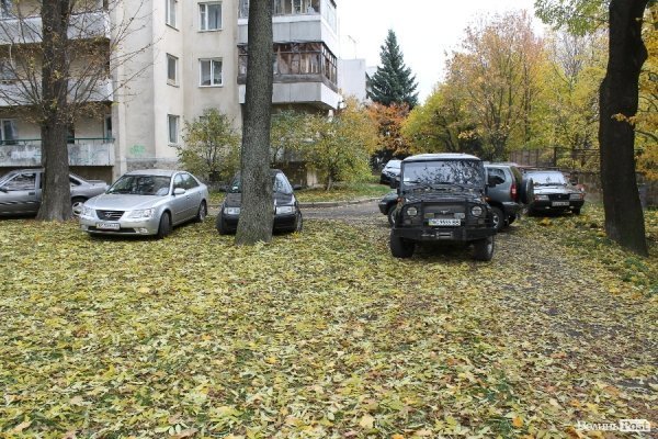 «Якщо жінка забеременніла в лісі, то що, лісники мають аліменти платити?» - головний лісівник Волині