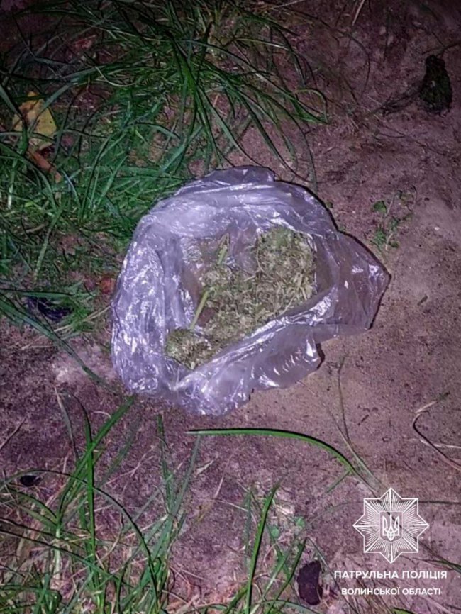 «Приліг відпочити»: копи на Волині затримали чоловіка з дурманом