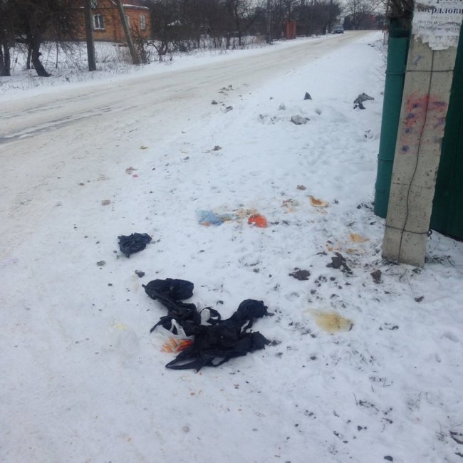 У селі під Луцьком скаржаться на нечупар, які розкидали сміття. ФОТО