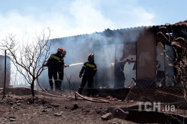 У Греції горять ліси. ФОТО