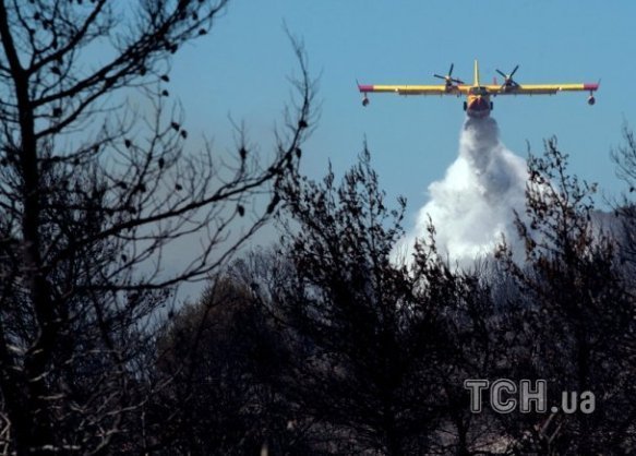 У Греції горять ліси. ФОТО