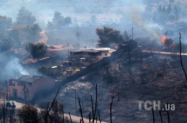 У Греції горять ліси. ФОТО