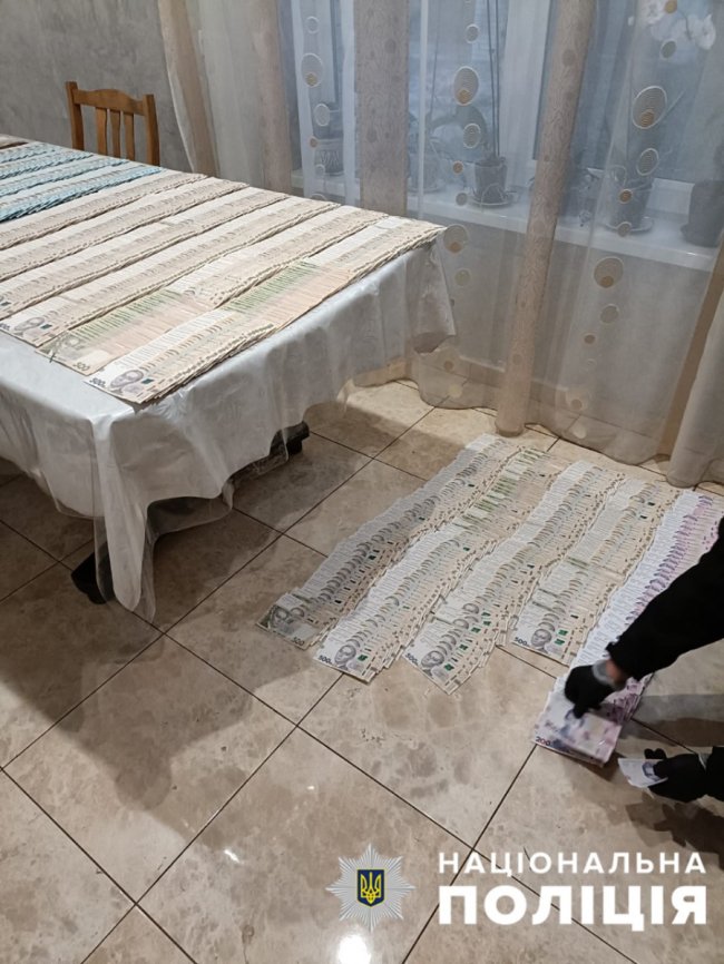 На Волині викрили масштабну схему розкрадання лісу: 15 учасників дерева продавали населенню, а гроші ділили між собою