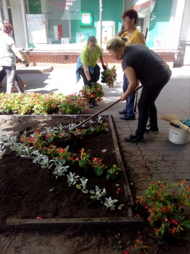 У Луцьку комунальники висаджують квітники. ФОТО