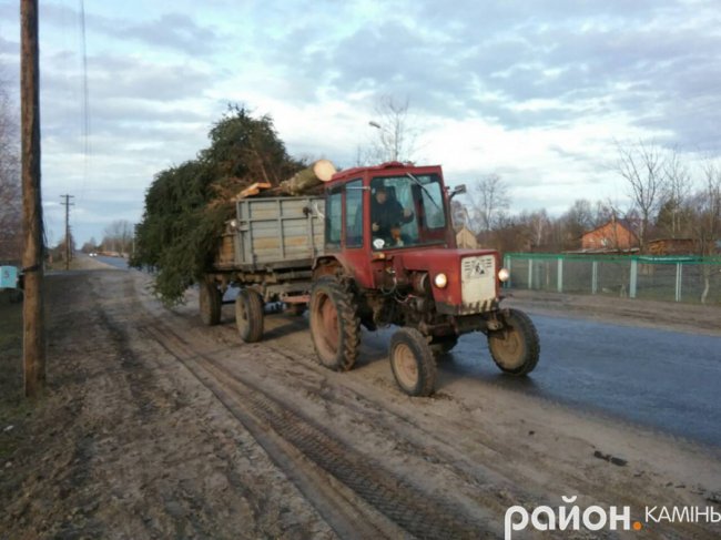 У місті на Волині встановили новорічну ялинку