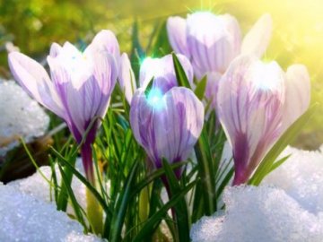 Синоптики обіцяють «літо» на Великдень