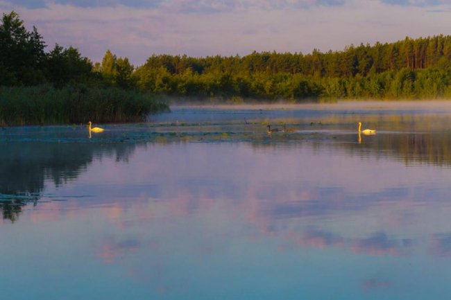 Чарівний світанок на волинському озері. ФОТО