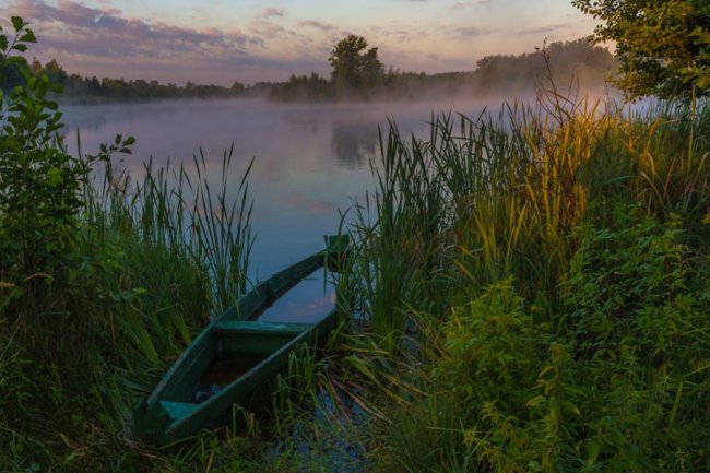 Чарівний світанок на волинському озері. ФОТО