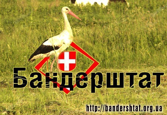 «Бандерштат» оголосив конкурс для дизайнерів