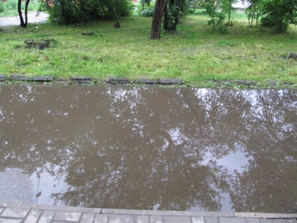 Мешканці Луцька скаржаться на бездіяльність ЖКГ. ФОТО