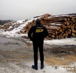 У Маневицькому районі – обшуки на пилорамах, вилучили 400 кубометрів деревини
