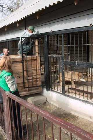 У Луцькому зоопарку з'явились нові мешканці. ФОТО
