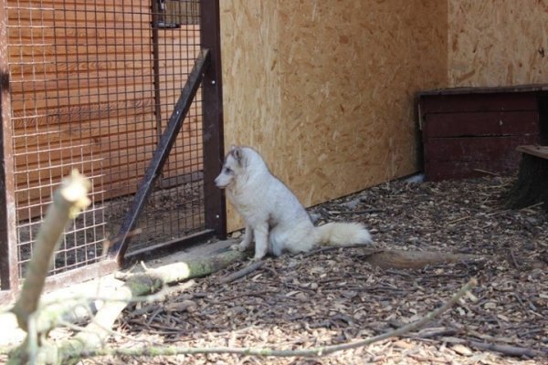 У Луцькому зоопарку з'явились нові мешканці. ФОТО