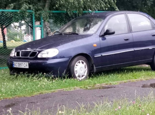 «Що з таким піндосом можна зробити?»: у Луцьку біля школи зловили автоандона