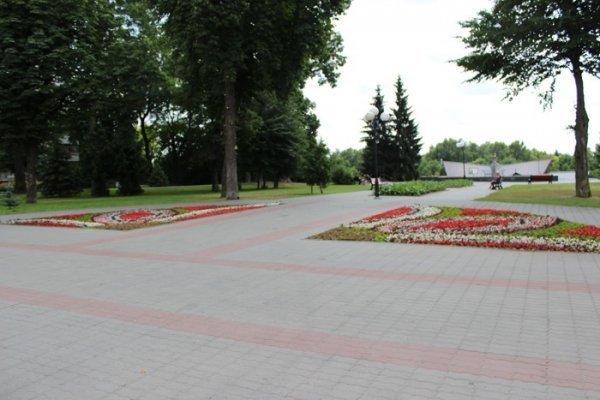 Як прикрасили луцькі клумби. ФОТО