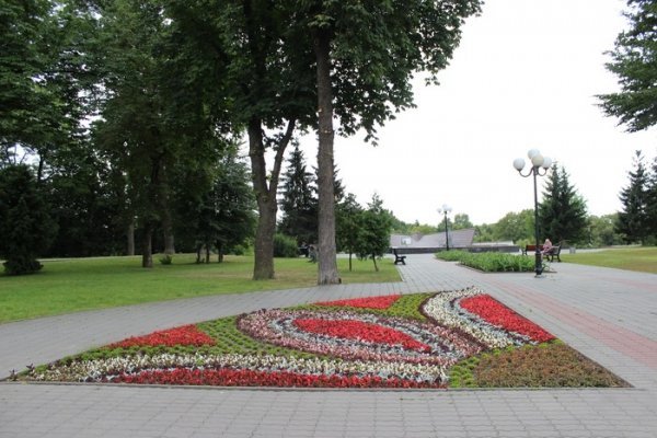 Як прикрасили луцькі клумби. ФОТО