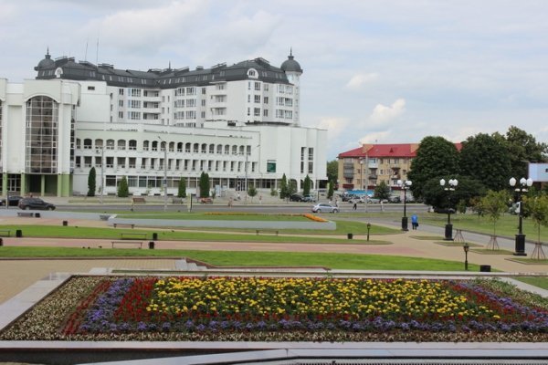 Як прикрасили луцькі клумби. ФОТО