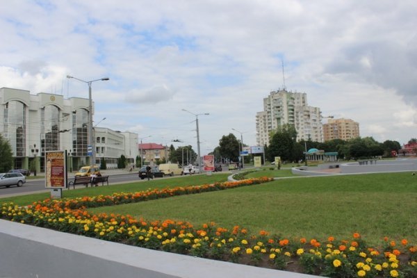 Як прикрасили луцькі клумби. ФОТО