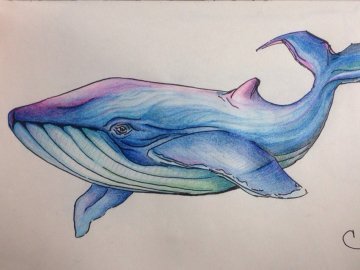 «Синій кит»: у Луцьку підлітка зупинили за крок від самогубства