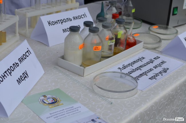 Від мініатюрних тістечок до величезних гойдалок: у центрі Луцька – свято професійної освіти. ФОТО