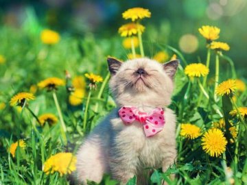 Якою буде погода в Україні у понеділок, 2 травня