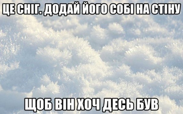 Інтернет жартує про зиму без снігу. ФОТО