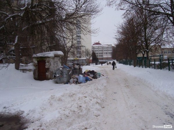 Контейнери зі сміттям на вулиці Потапова