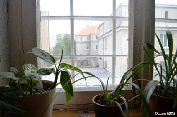 Тюремники показали Луцьке СІЗО. ФОТО