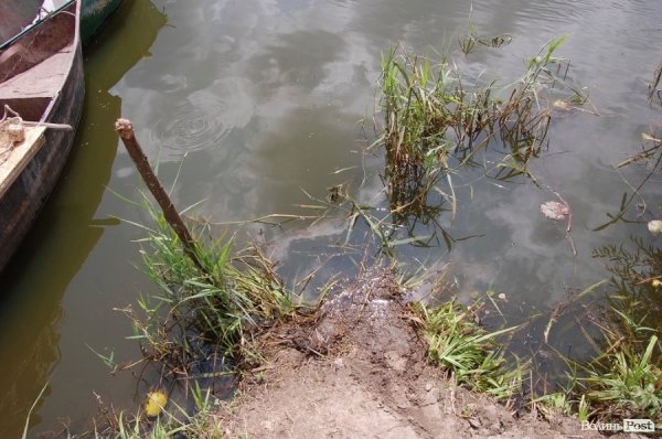 Відпочинок під Луцьком. Рокині. ФОТО