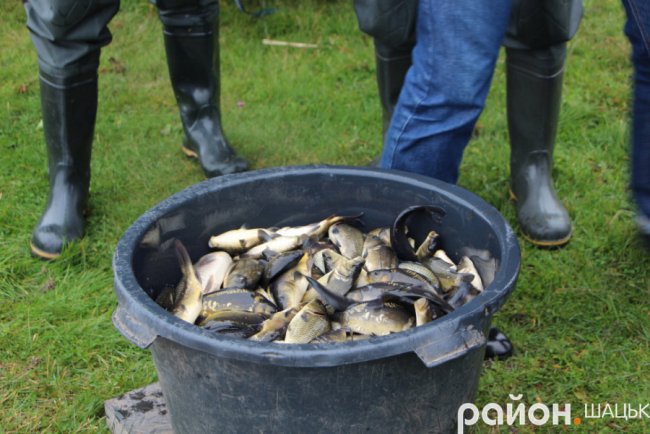 На Волині просять допомогти відновити популяцію риб на відомих озерах