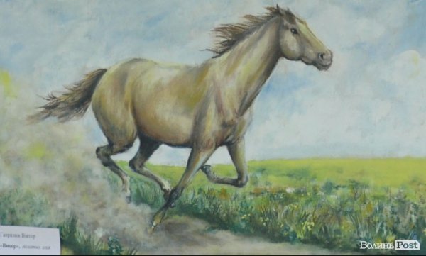 Нововолинські художники організували спільну виставку картин. ФОТО