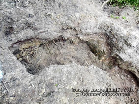 На Волині лопатами незаконно видобували бурштин. ФОТО