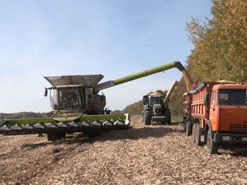 Як на Волині триває збір урожаю. ВІДЕО
