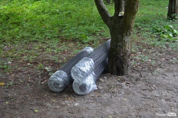 У Луцьку ріжуть дерева, аби збудувати церкву. ФОТО
