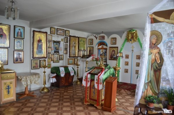 У Луцьку ріжуть дерева, аби збудувати церкву. ФОТО