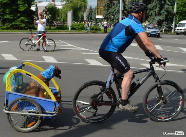 Велодень у Луцьку зібрав більше тисячі людей. ФОТО 