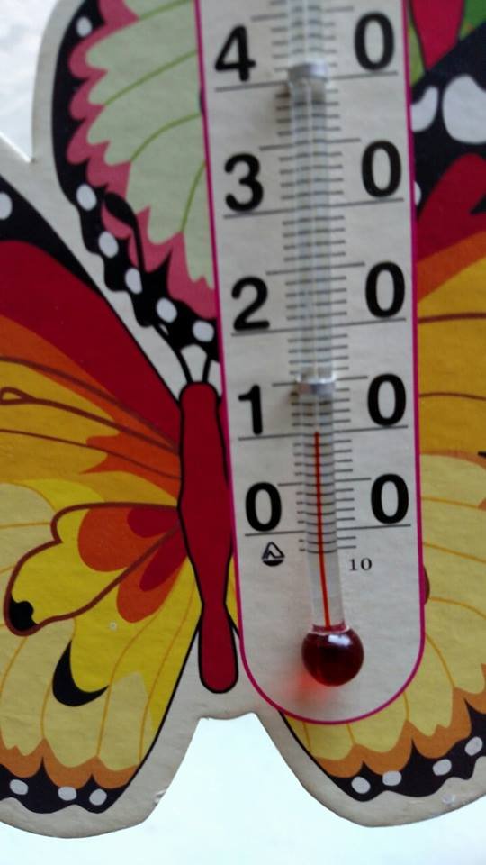 «Сидимо у куртках»: учні Луцької художньої школи нарікають на холодні класи. ФОТО