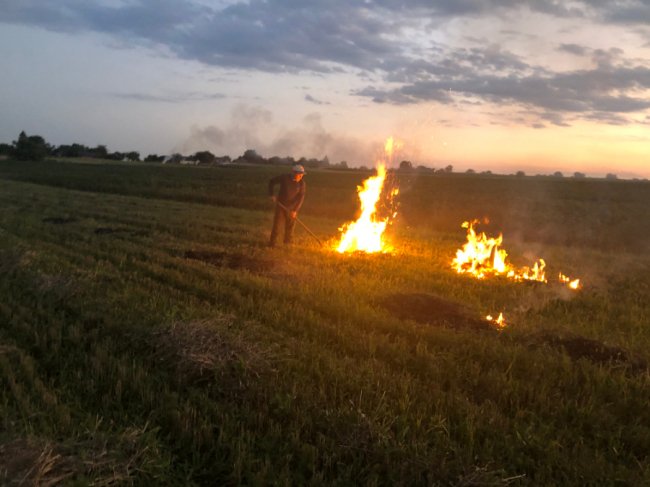 Палили під покровом ночі: на Волині зловили «на гарячому» трьох селян